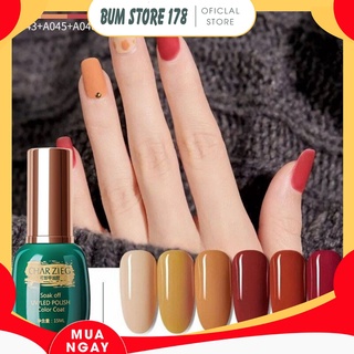 Sơn gel Charzieg bảng màu 43-48 15ml