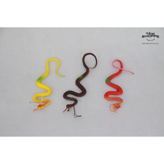 Con rắn giả số 16 TTTM