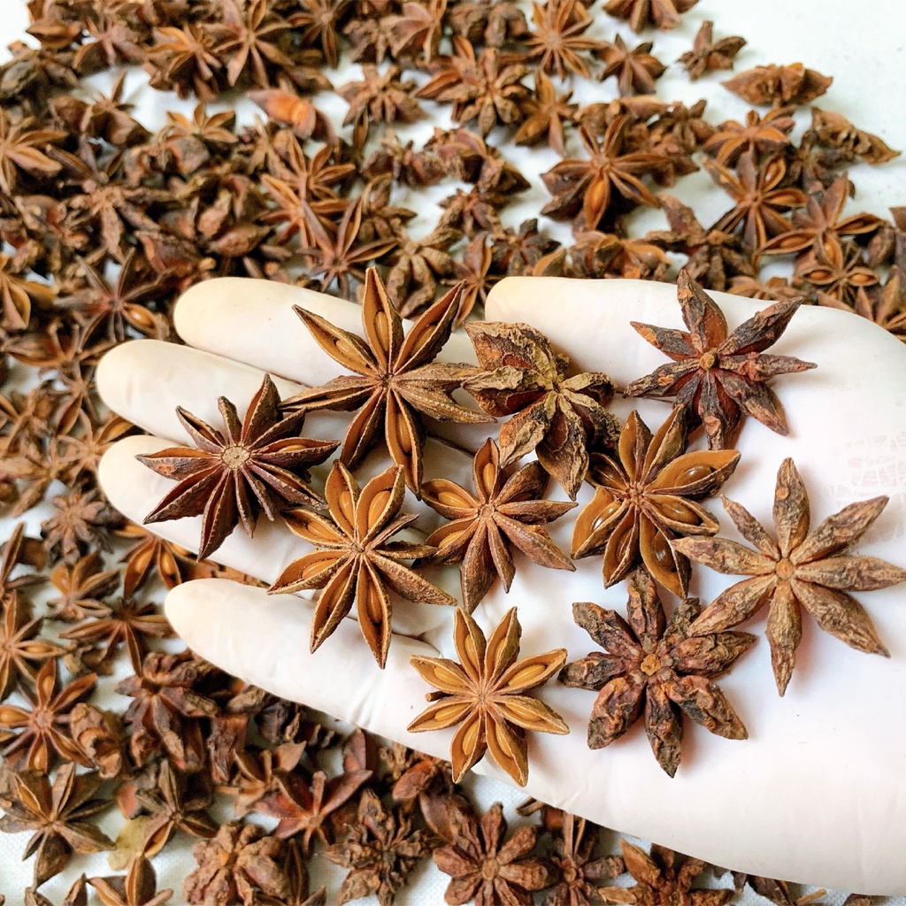 Hoa hồi nguyên chất 100-500gr Star Anise BH Spices chế biến thực phẩm BHS005