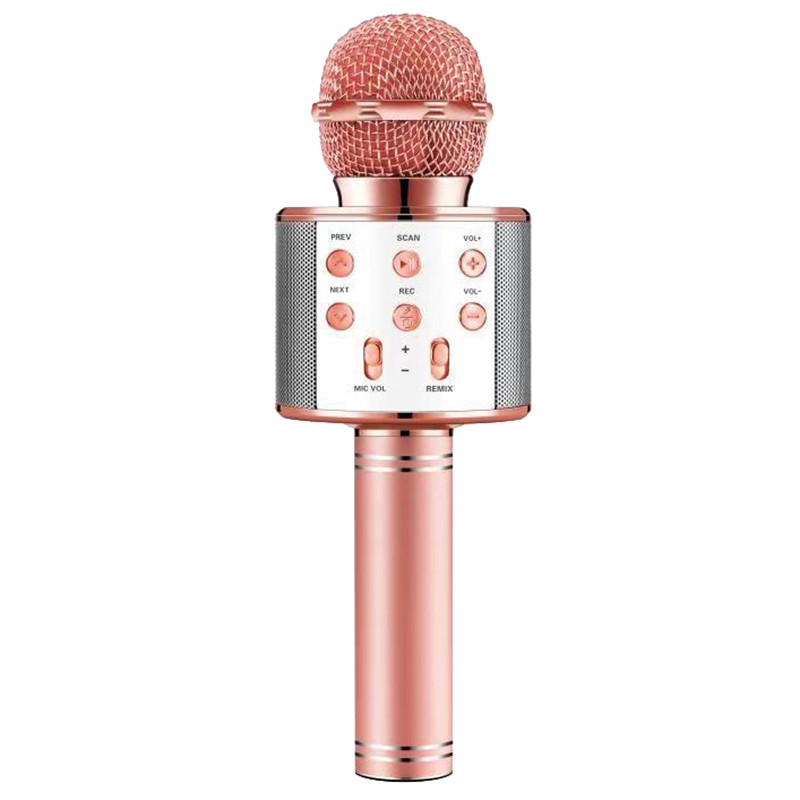 Micro Hát Karaoke Ws858