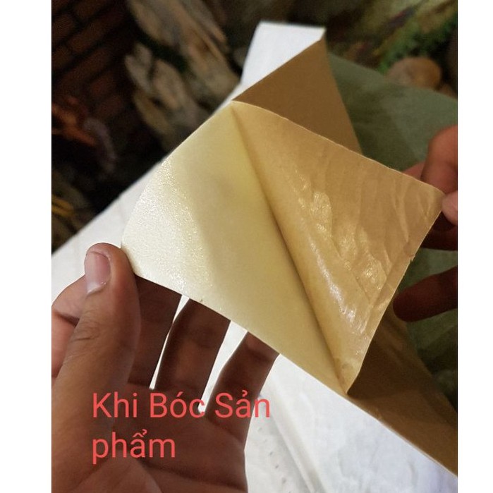 [FREE SHIP] XỐP DÁN TƯỜNG 3D GIẢ GỖ SANG TRỌNG , CÁCH ÂM CÁCH NHIỆT - LOẠI 1 GIÁ RẺ | BigBuy360 - bigbuy360.vn