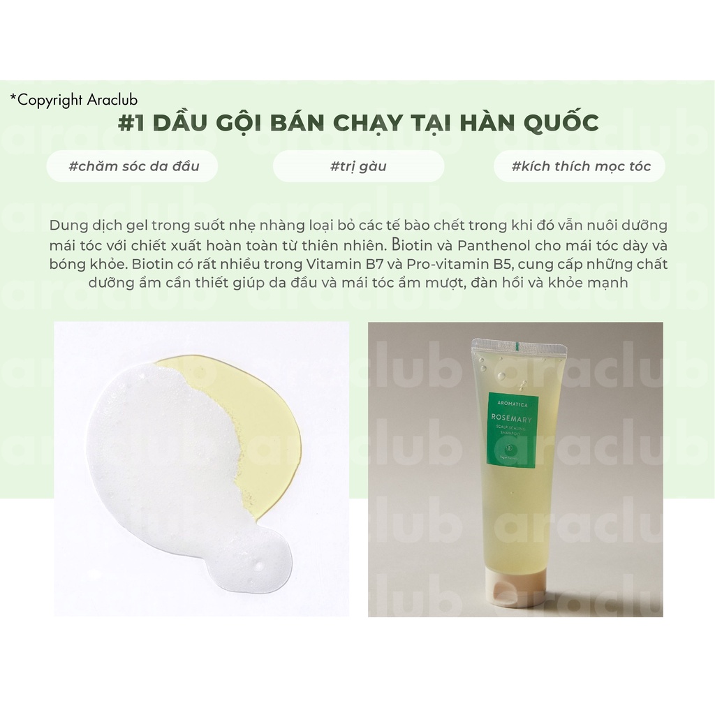 Dầu Gội Giảm Gàu Ngứa Chiết Xuất Hương Thảo Aromatica Rosemary Scalp Scaling Shampoo 180ml