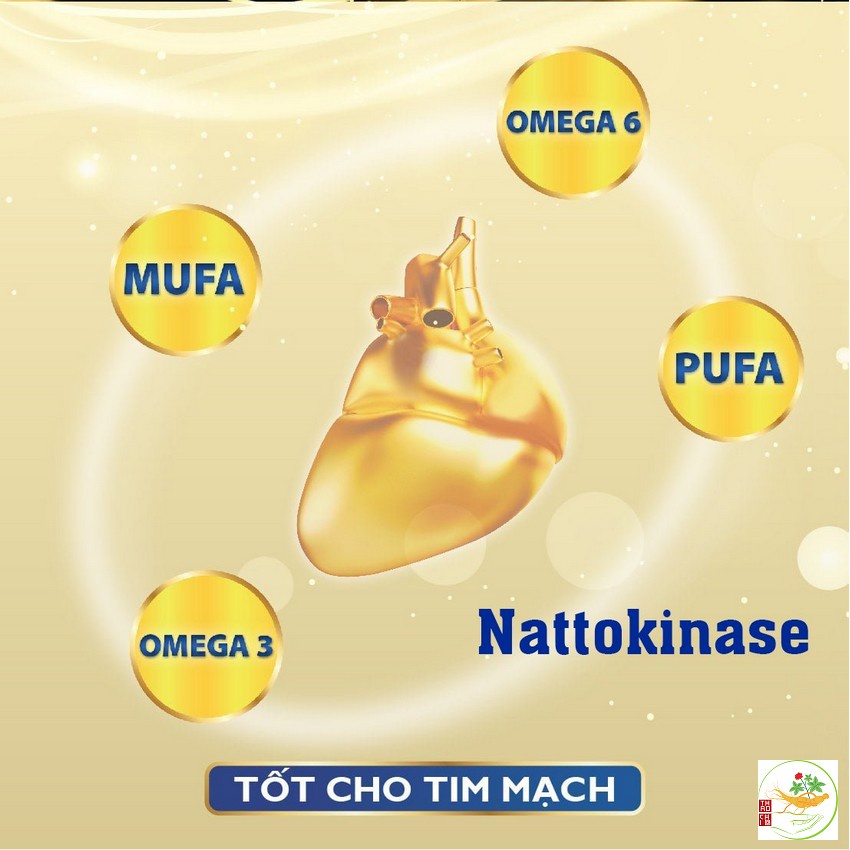 Sữa Cao Xương Ngựa Bạch Mông Cổ GOBI MILK, Phòng Ngừa Loãng Xương, Giảm Đau Mỏi Xương Khớp, Giảm Cholesterol