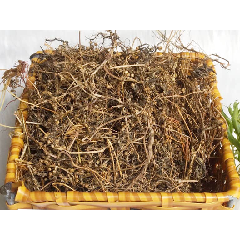 Bán chi liên khô Sasuke 1kg tác dụng hỗ trợ điều tr_ị u_ng thư và u_bướu