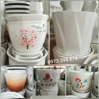 Chậu Sứ Bát Tràng Loại 1 - Trồng Cây Để Bàn