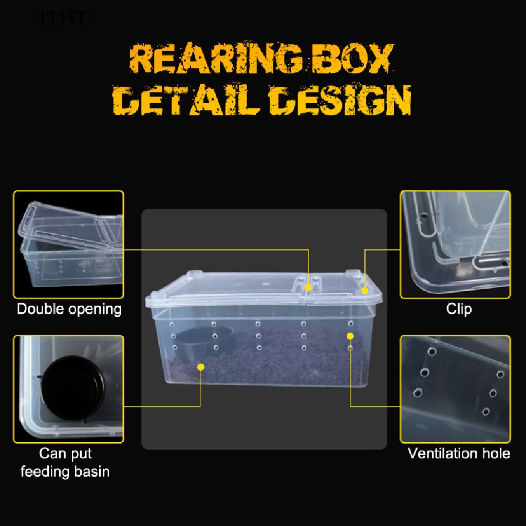 Hộp Đựng Thức Ăn Cho Bò Sát / Côn Trùng Bằng Nhựa Trong Suốt