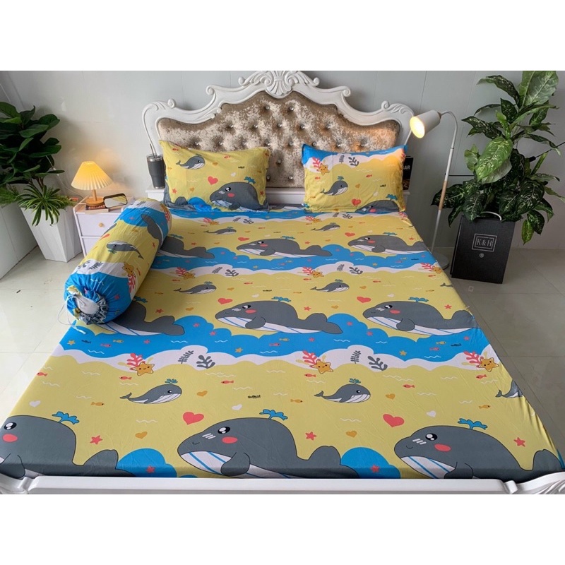 Bộ Drap thun Hàn Quốc mẫu cá voi gồm 6 màu