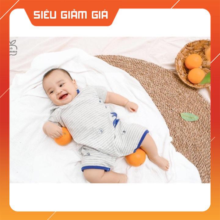 Lapome- Body cộc kẻ hình tàu