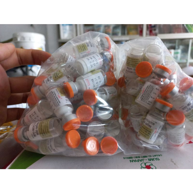 triệt sản chó mèo