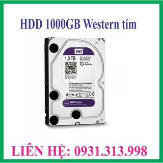 Ổ CỨNG HDD 1000GB WESTERN TÍM