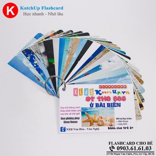 Flashcard tiếng Anh cho bé KatchUp - Biển