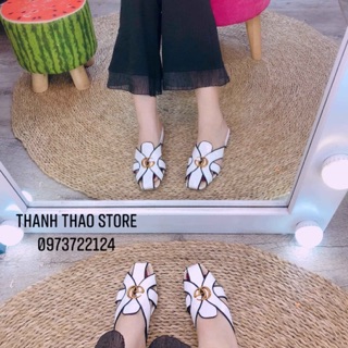 Combo dép sục cao cấp