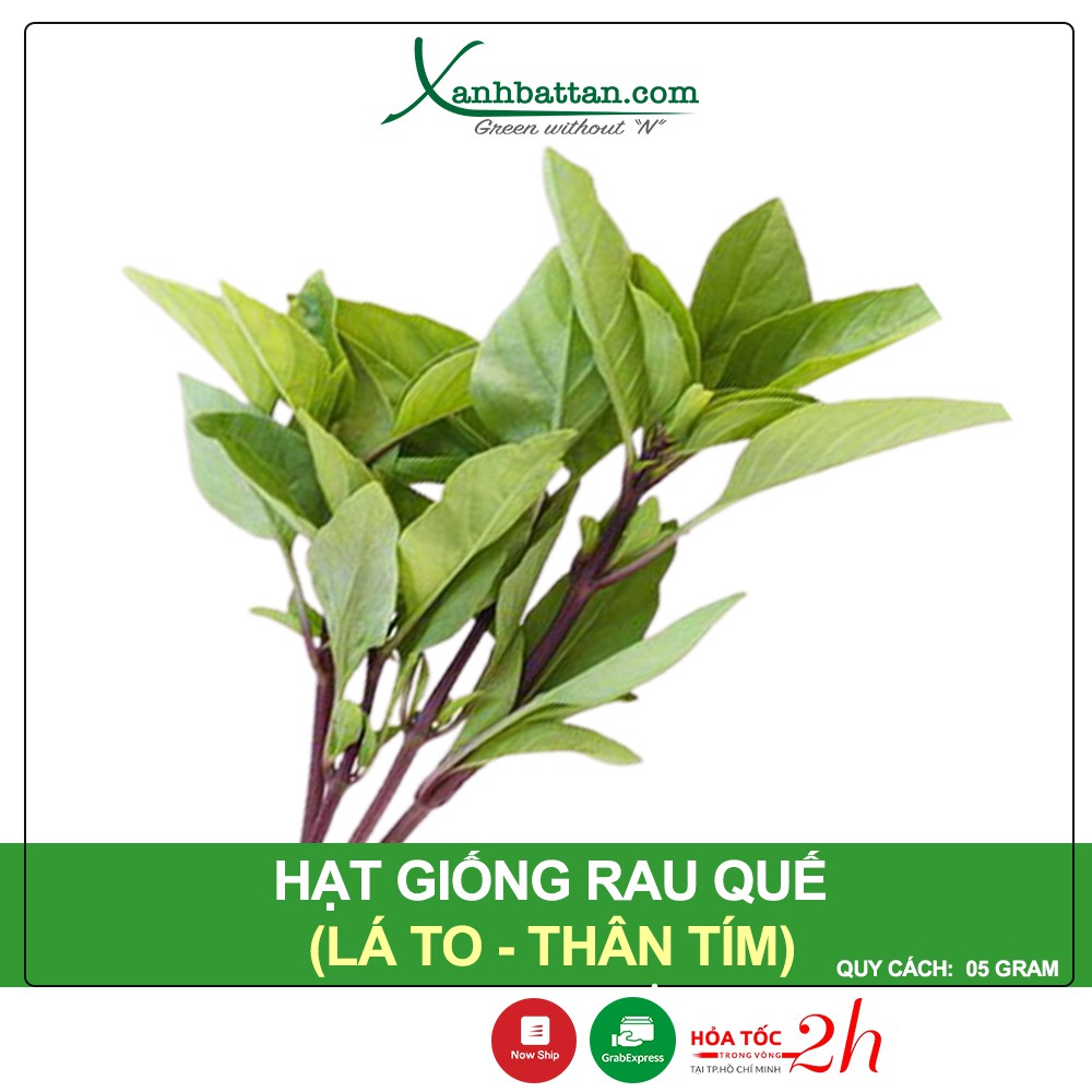 Hạt Giống Rau Quế Lá To Phú Nông Gói 5 Gram