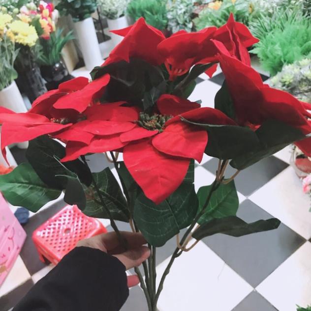 Cây giả- Cây Trạng Nguyên Size đại