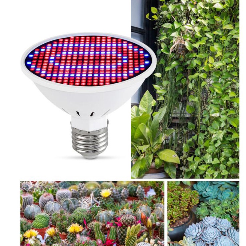 Hộp Đèn LED Trồng Cây Trong Nhà 126 / 200 / 300 Bóng VNK2