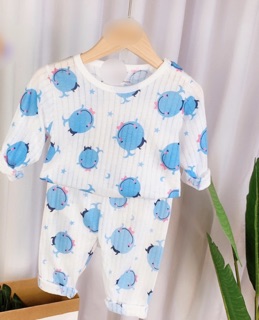 Bộ cotton giấy dài tay cho bé