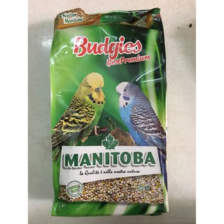 Hạt trộn yến phụng Cao cấp Manitoba