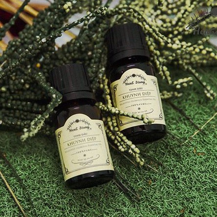 TINH DẦU KHUYNH DIỆP 10ML - CHO MẸ & BÉ