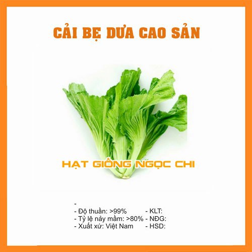 Hạt Giống Rau Cải Bẹ Dưa - 20Gr~4000 Hạt