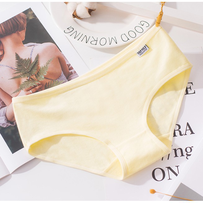 [bigsize] Quần Lót Pulo Còn hàng | BigBuy360 - bigbuy360.vn