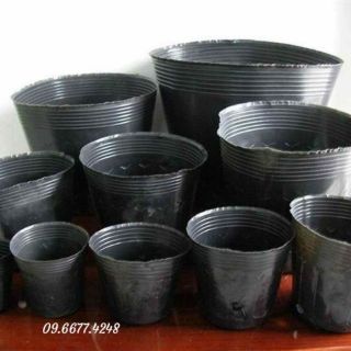 1kg chậu bầu ươm nilon đen loại 1