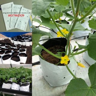 45 TÚI NHỰA PE 2 LỚP CHỈ CÓ 75K