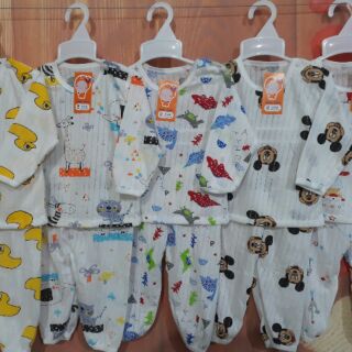Sỉ bộ cotton giấy