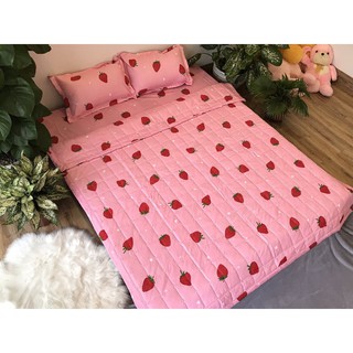 Chăn Hè Mền ⚡️Freeship⚡️ Trần Bông Poly mẫu dâu hồng
