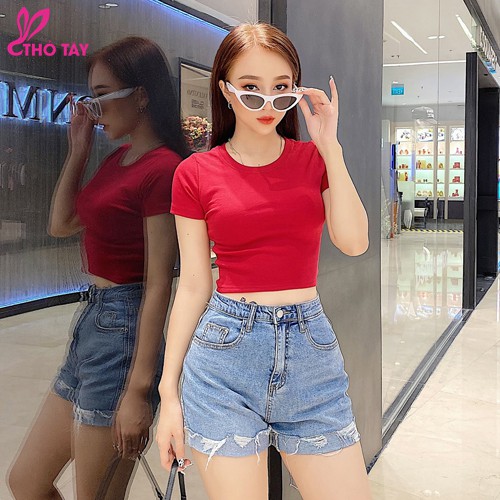 [Mã BMBAU50 giảm 7% đơn 99K] Áo thun nữ croptop THỎ TÂY cổ tròn nhiều màu siêu xinh THỎ TÂY B280 | BigBuy360 - bigbuy360.vn