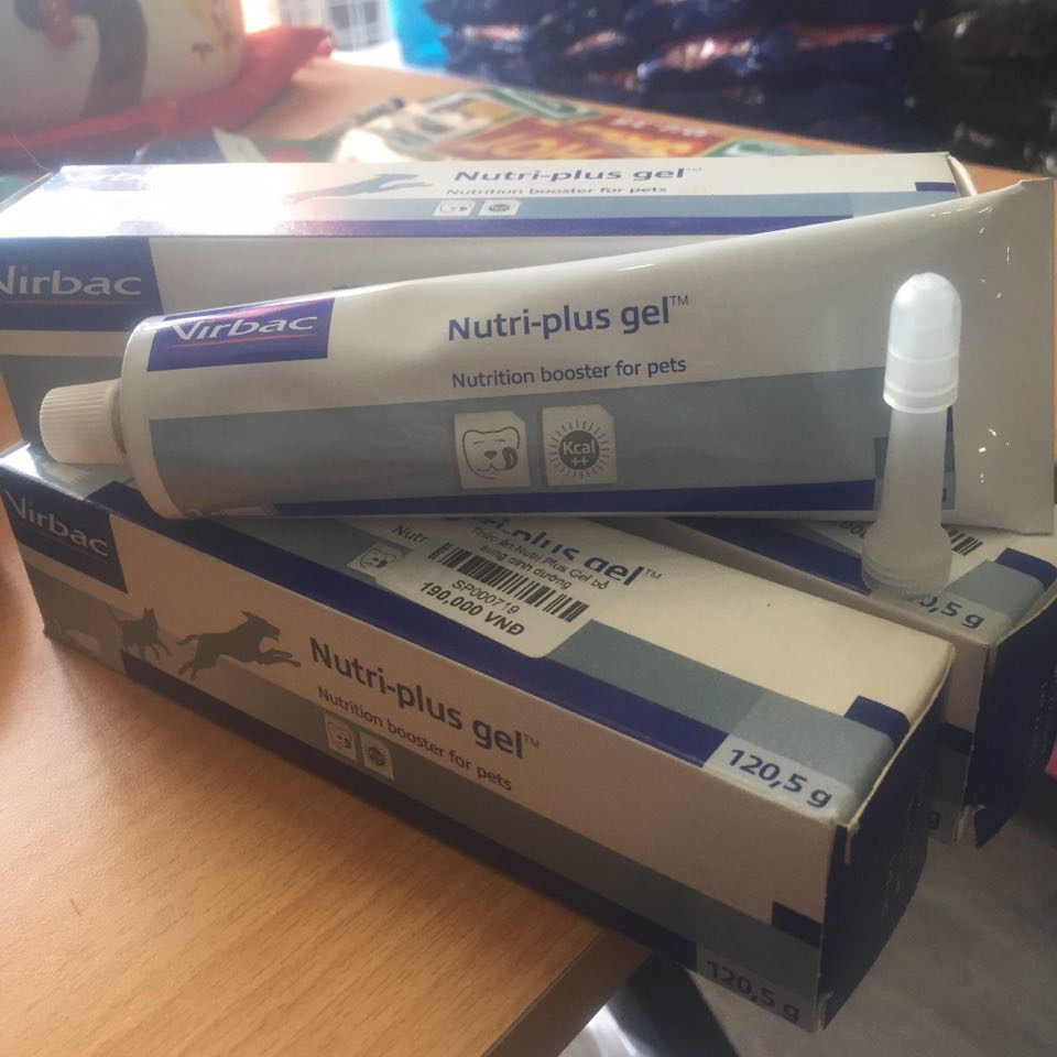 Gel dinh dưỡng dành cho chó mèo Nutri Plus Gel