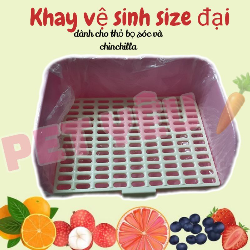 Khay vệ sinh size đại (44×34×18cm) dành chọ thỏ bọ.chinchilla và.sóc 🦫
