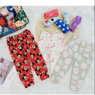 Combo 5 quần bozip chuẩn loại 1 cho bé