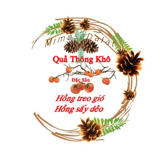 Set 100 Quả thông khô