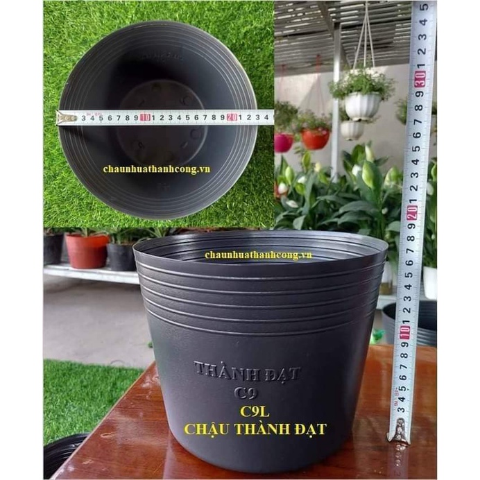 Chậu nhựa đen C9L  - Chậu nhựa Thành Đạt