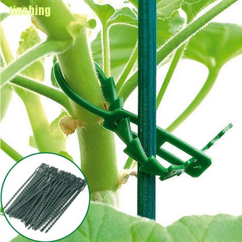 Bộ 50 Dây Điện Bằng Nhựa Có Thể Điều Chỉnh Và Tái Sử Dụng