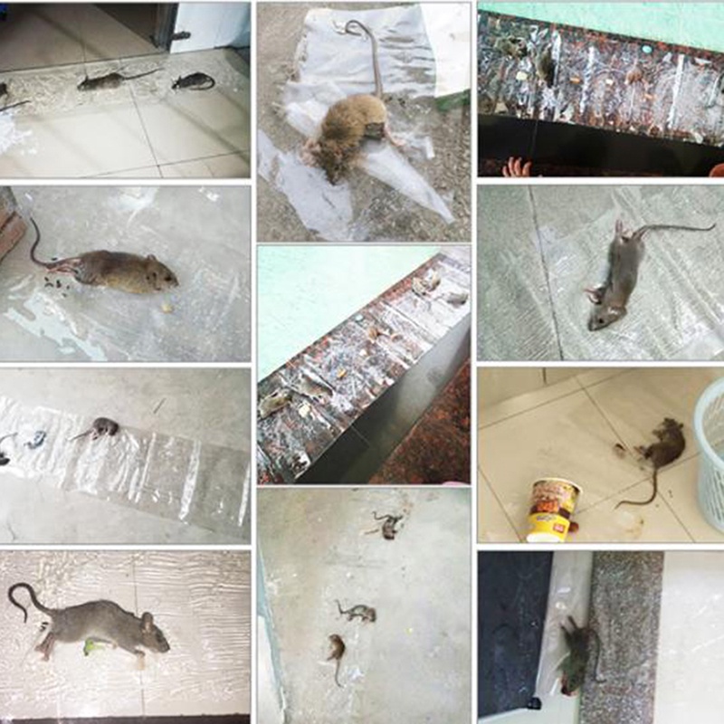 1 Miếng Dán Chuột hk912.co Trong Suốt Siêu Dính