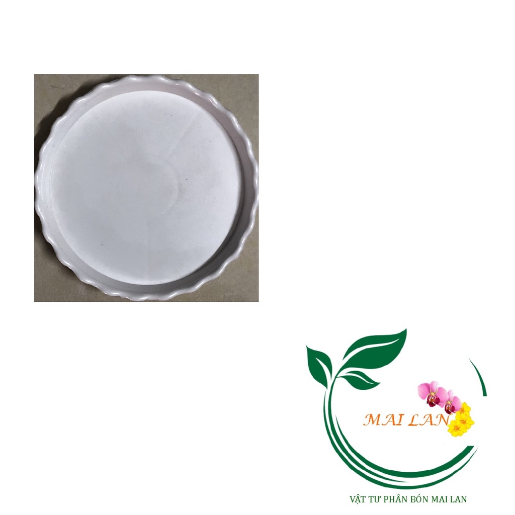 Đĩa lót chậu tròn khía [Phi 8,5]cm - #047C#