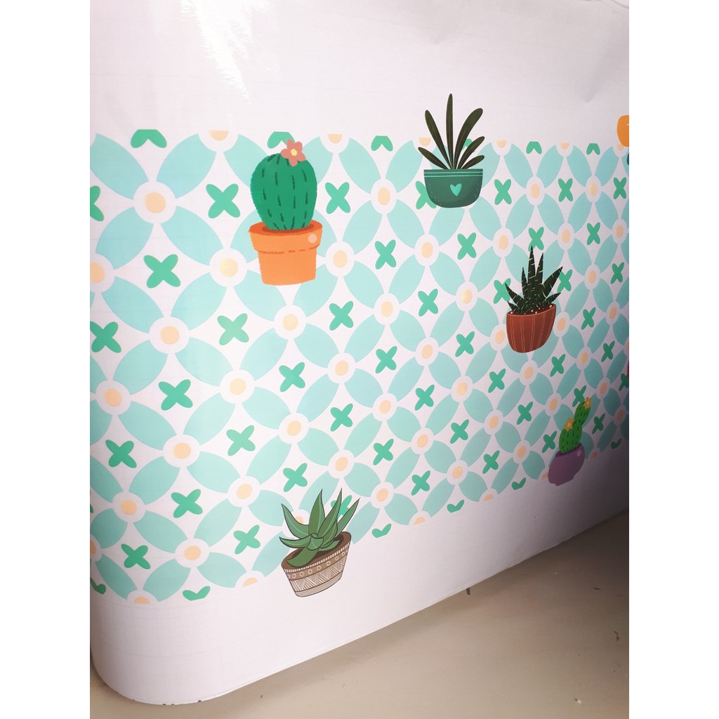 Decal dán bếp tráng nhôm cách nhiệt mẫu hoa xương rồng nền trong suốt  khổ 60cm keo sẵn