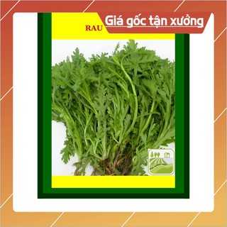 20G - Hạt Giống Rau Tần Ô