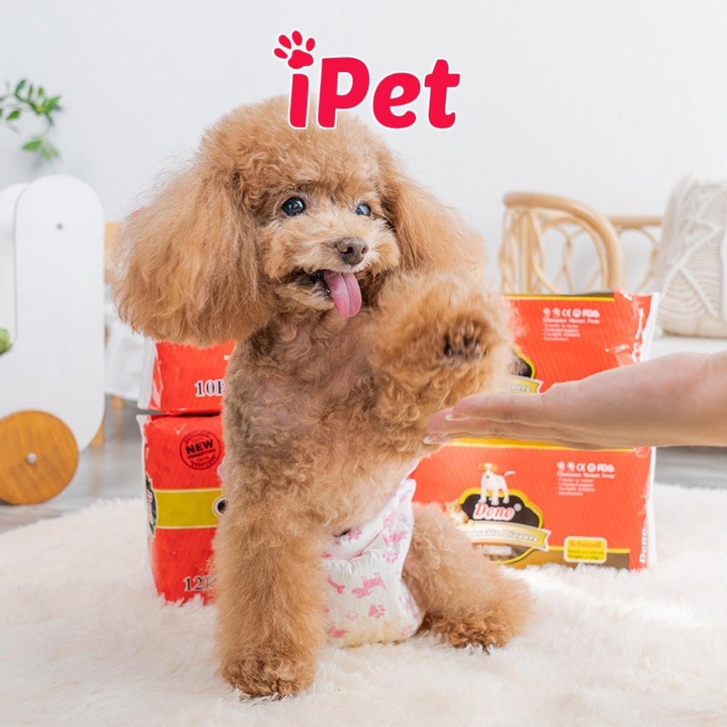 Lẻ Bỉm Cho Chó Mèo Cái Và Đực - Tã Quần Dono Disposale Diapers - Tả Lót Siêu Thấm Hút - iPet Shop