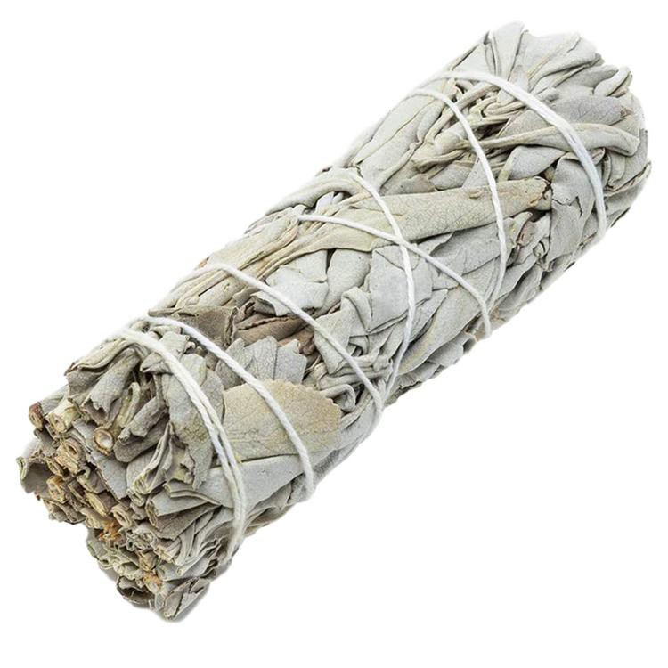 22cm Bó lá xô thơm (white sage) nhiều kích thước giá siêu tốt