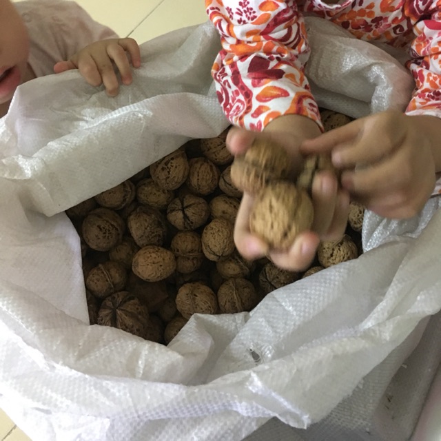 Quả óc chó khô