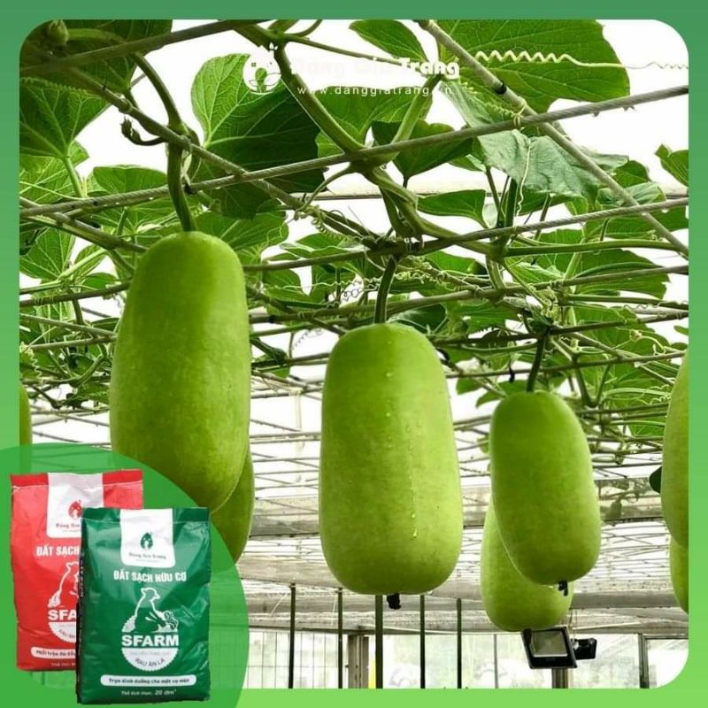 Đất Sạch Hữu Cơ SFARM Đã Trộn Sẵn Và Có Đầy Đủ Phân