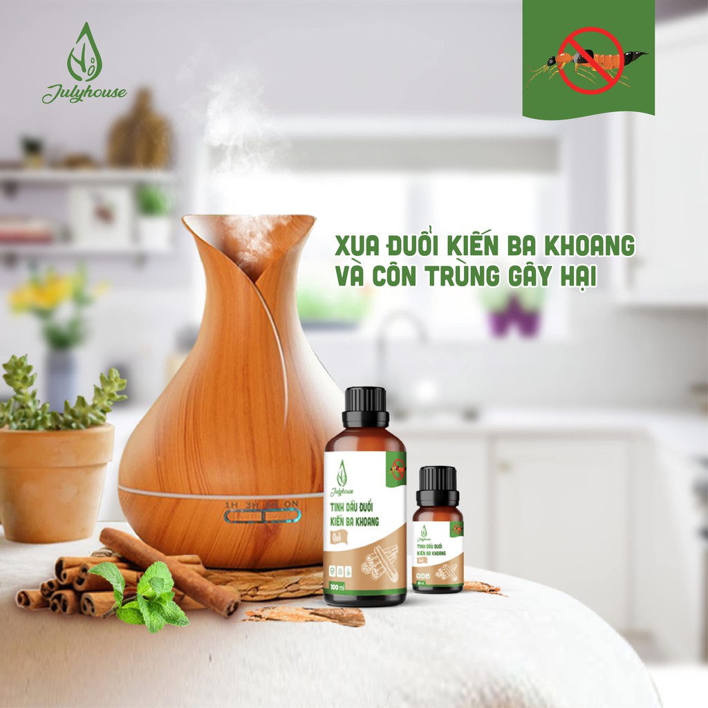 Tinh dầu Quế Đuổi Kiến Ba Khoang 10ml Julyhouse khử mùi, thơm phòng