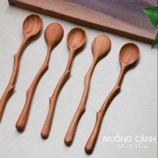 Muỗng gỗ cành cây dài uốn cong điệu đà