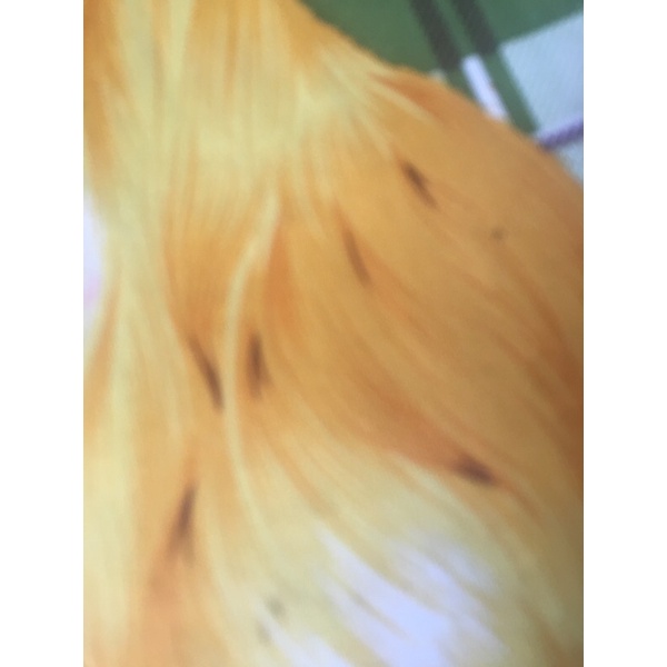 Lương khô ngon | BigBuy360 - bigbuy360.vn