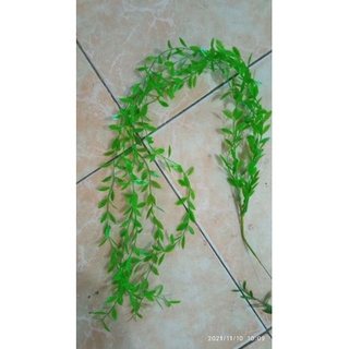 Cây giả- 600 cụm cúc tần dài 1met