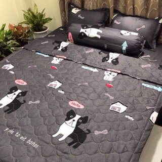 Bộ chăn ga gối hè Cotton poly, ga chun, chăn trần bông 5in1, sẵn hàng
