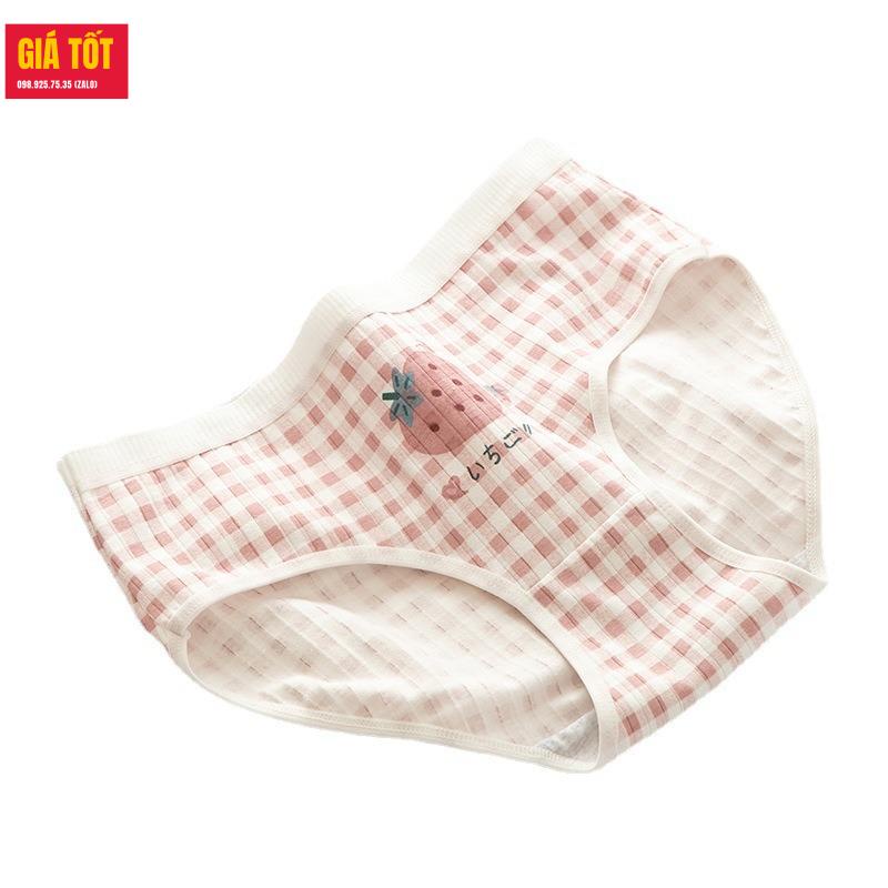 Quần chip cotton cho be gái 20kg 30kg 40kg  ☑️ quần lót trẻ em nữ   ☑️ Thời trang cho bé gái 13 tuổi