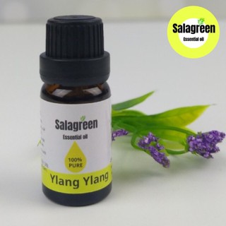 Tinh Dầu Ylang Ngọc Lang Tây 10ml Có Thơm Không